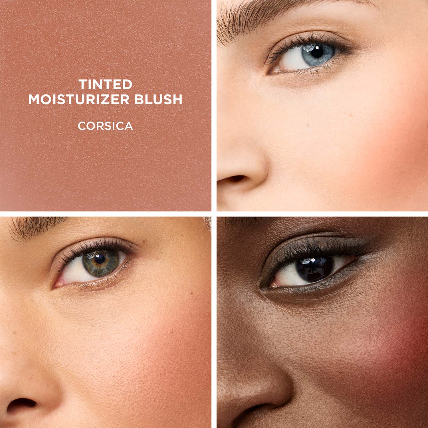 TINTED MOISTURIZER BLUSH (RUBOR EN CREMA)